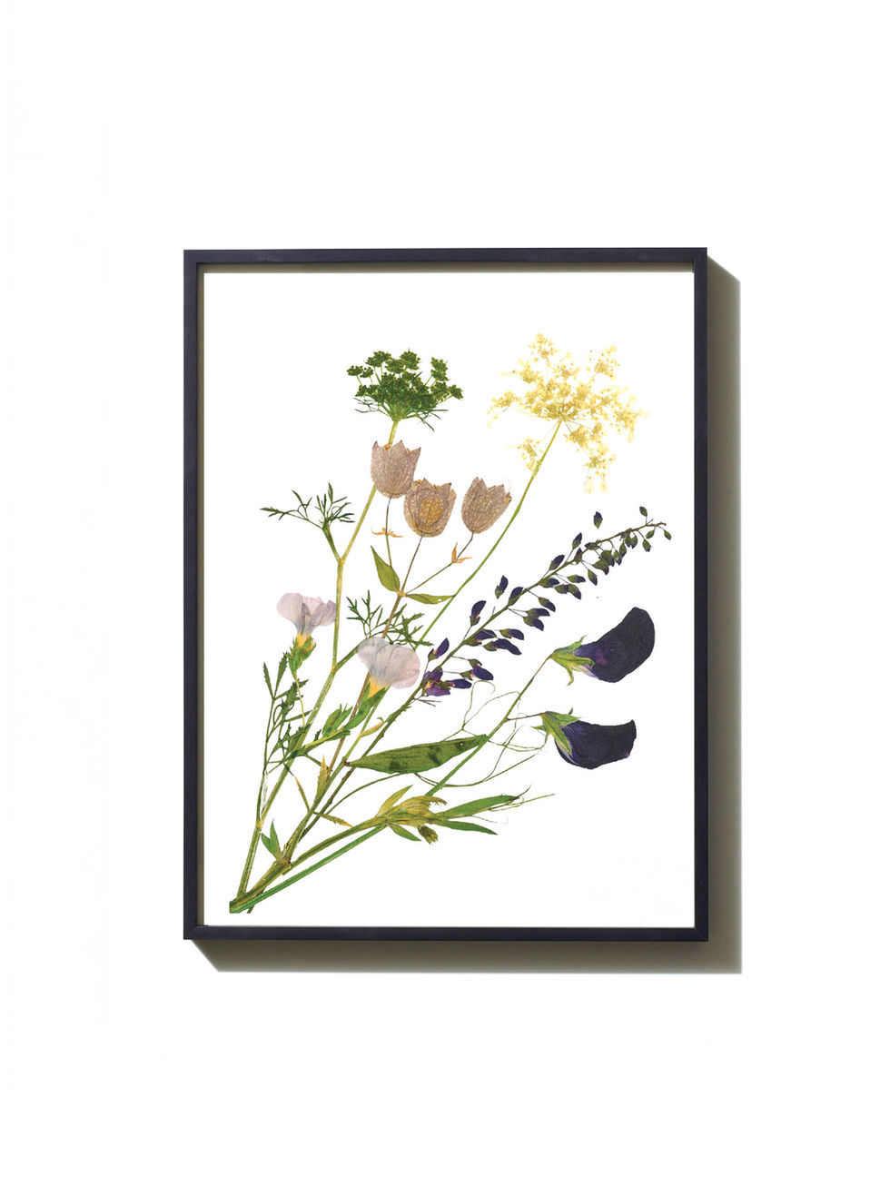 הדפס ממוסגר - פרחים מיובשים בטכניקה מסורתית