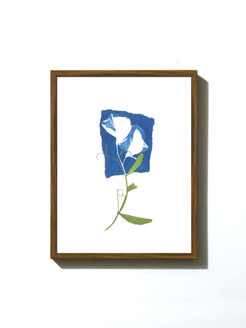 הדפס ממוסגר - פרחים מיובשים בטכניקה מסורתית