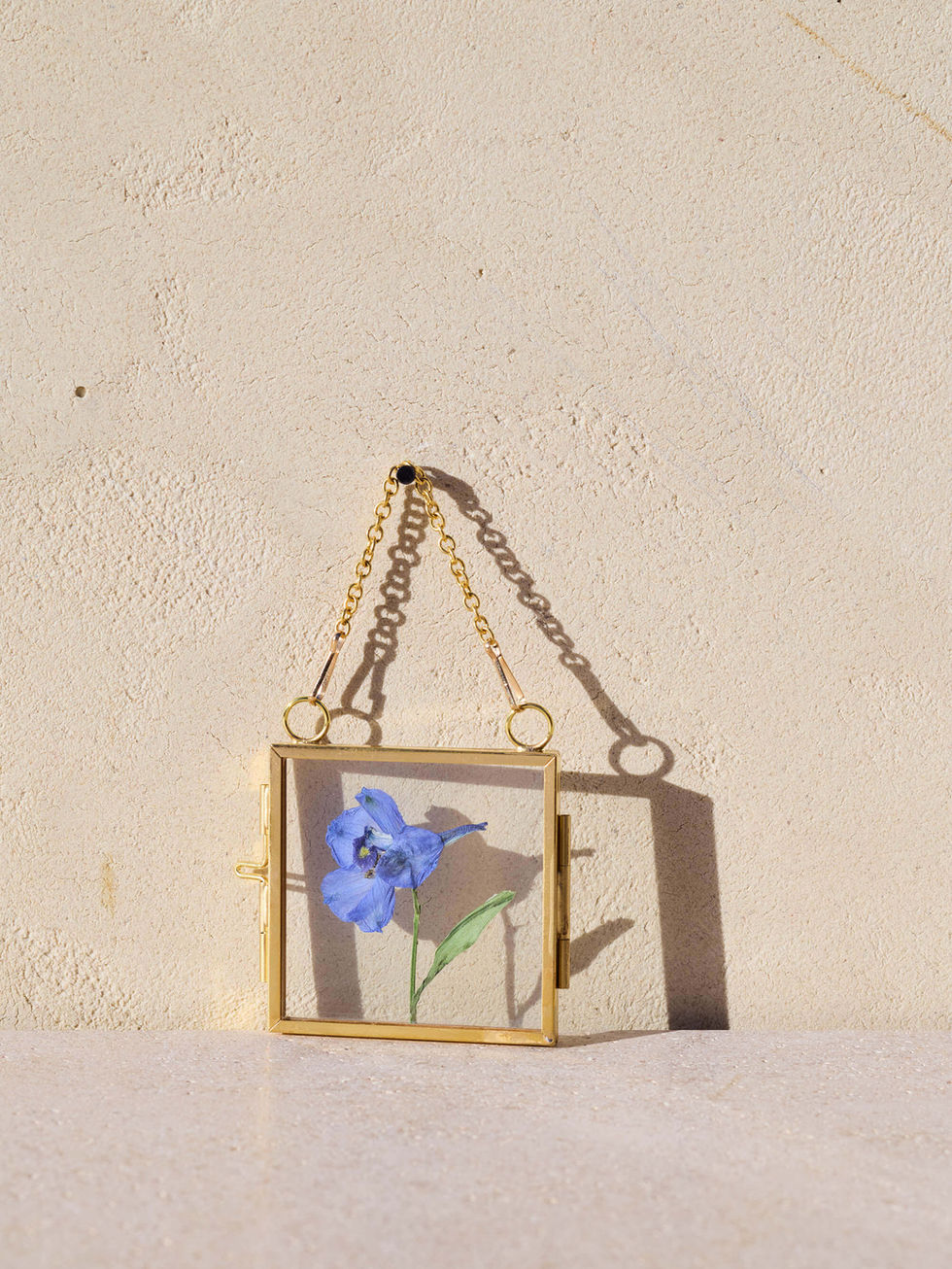 פרחים מיובשים בזכוכית