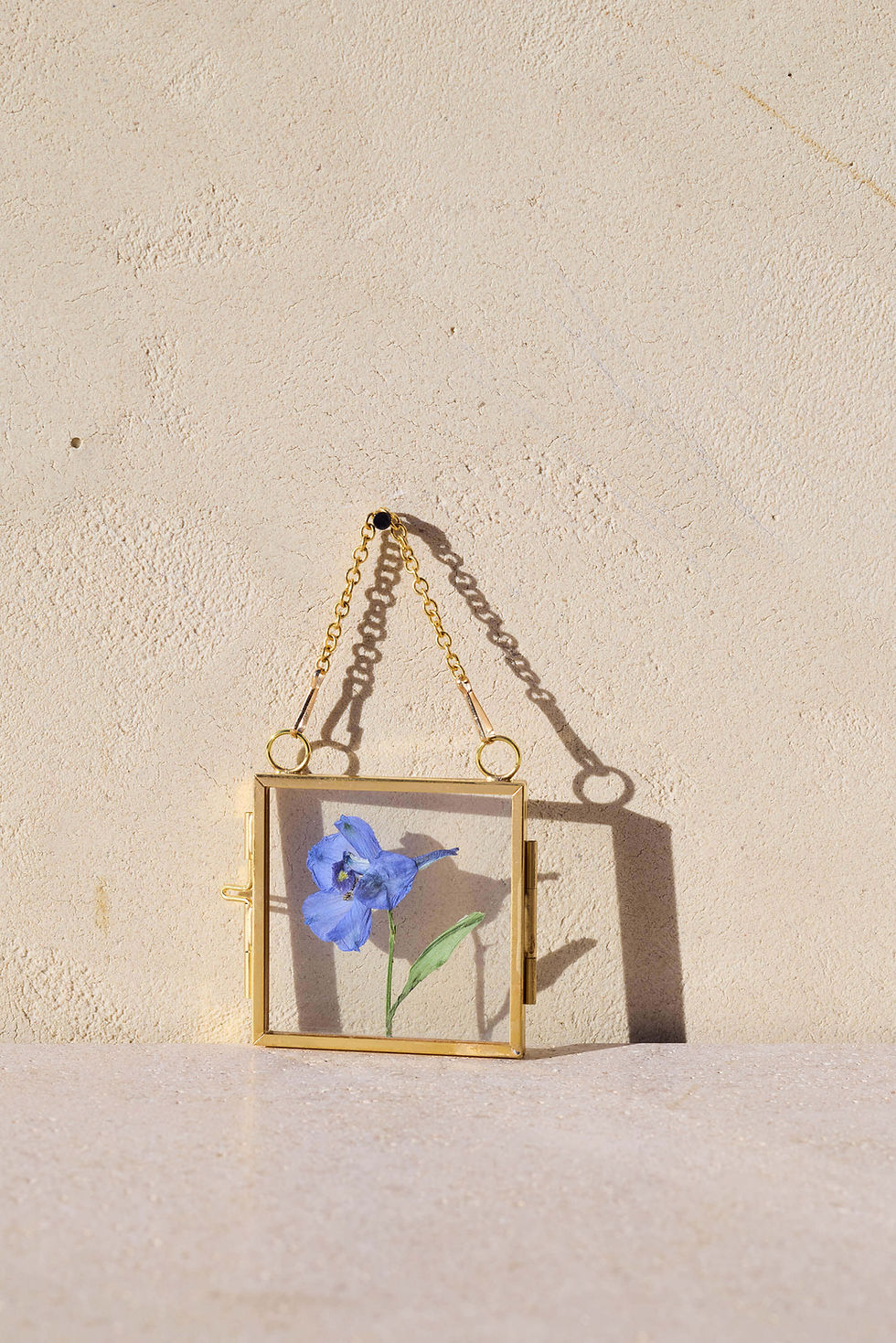 פרחים מיובשים בזכוכית