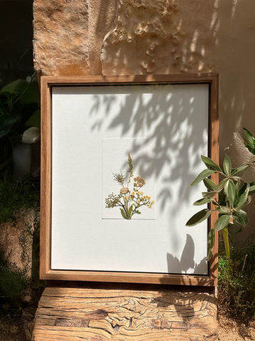 dried pressed flowers art from the land of israel