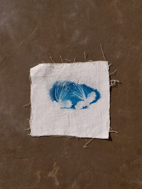 אמנות בפרחים מיובשים