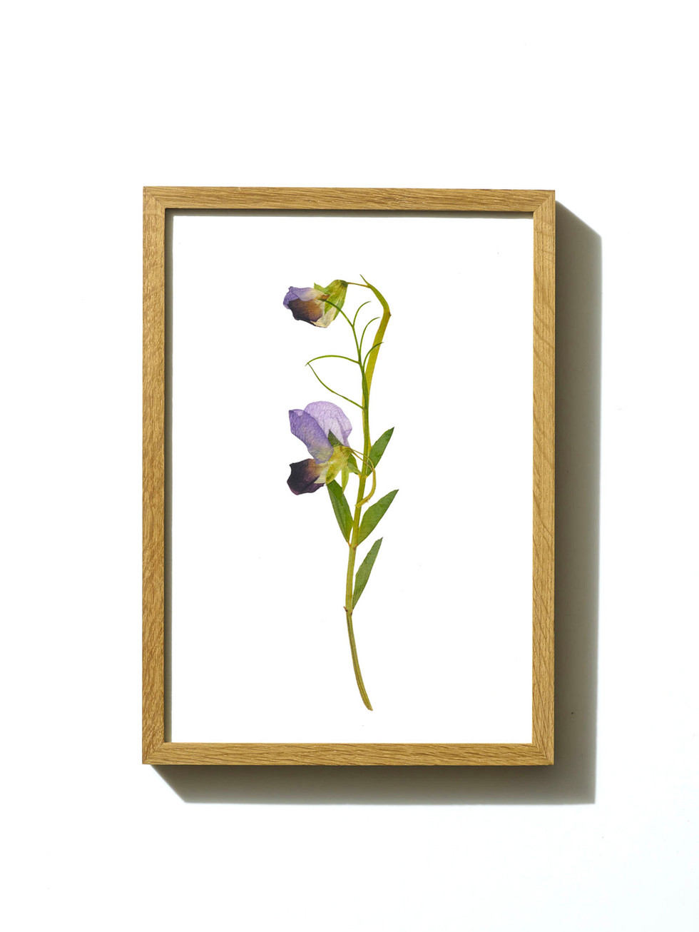 הדפס ממוסגר - פרחים מיובשים בטכניקה מסורתית