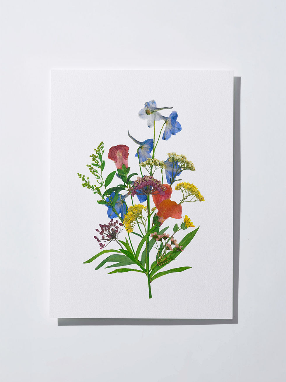 הדפס - פרחים מיובשים בטכניקה מסורתית