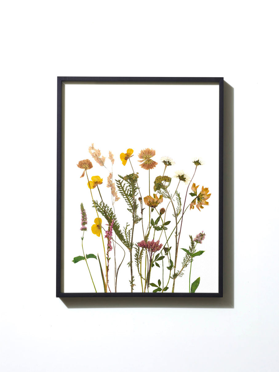 הדפס ממוסגר - פרחים מיובשים בטכניקה מסורתית