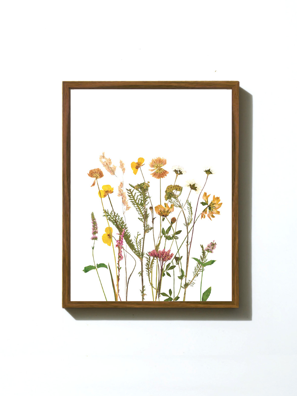 הדפס ממוסגר - פרחים מיובשים בטכניקה מסורתית