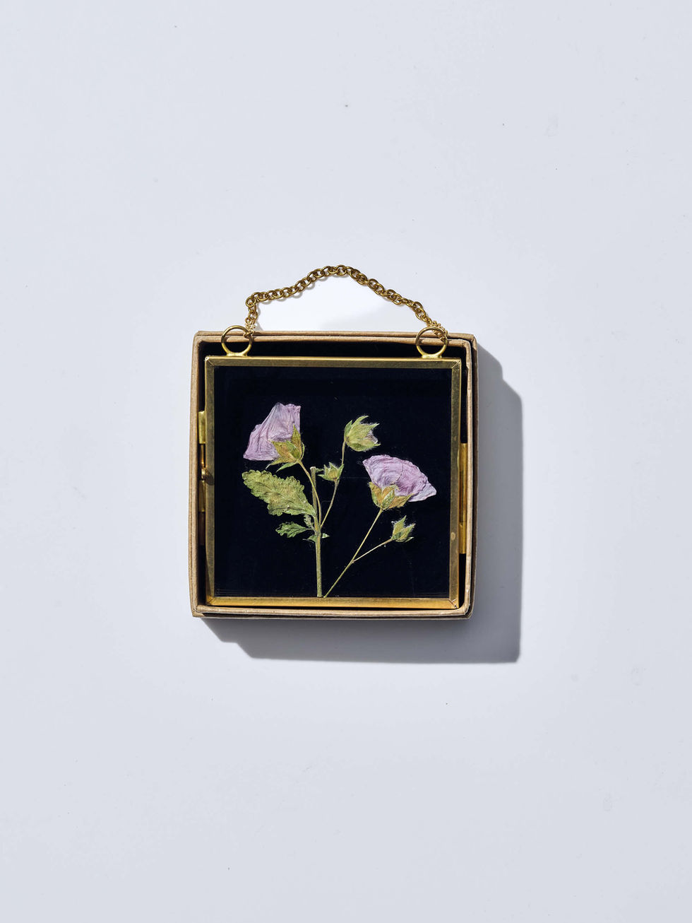 אמנות פרח מיובש בזכוכית