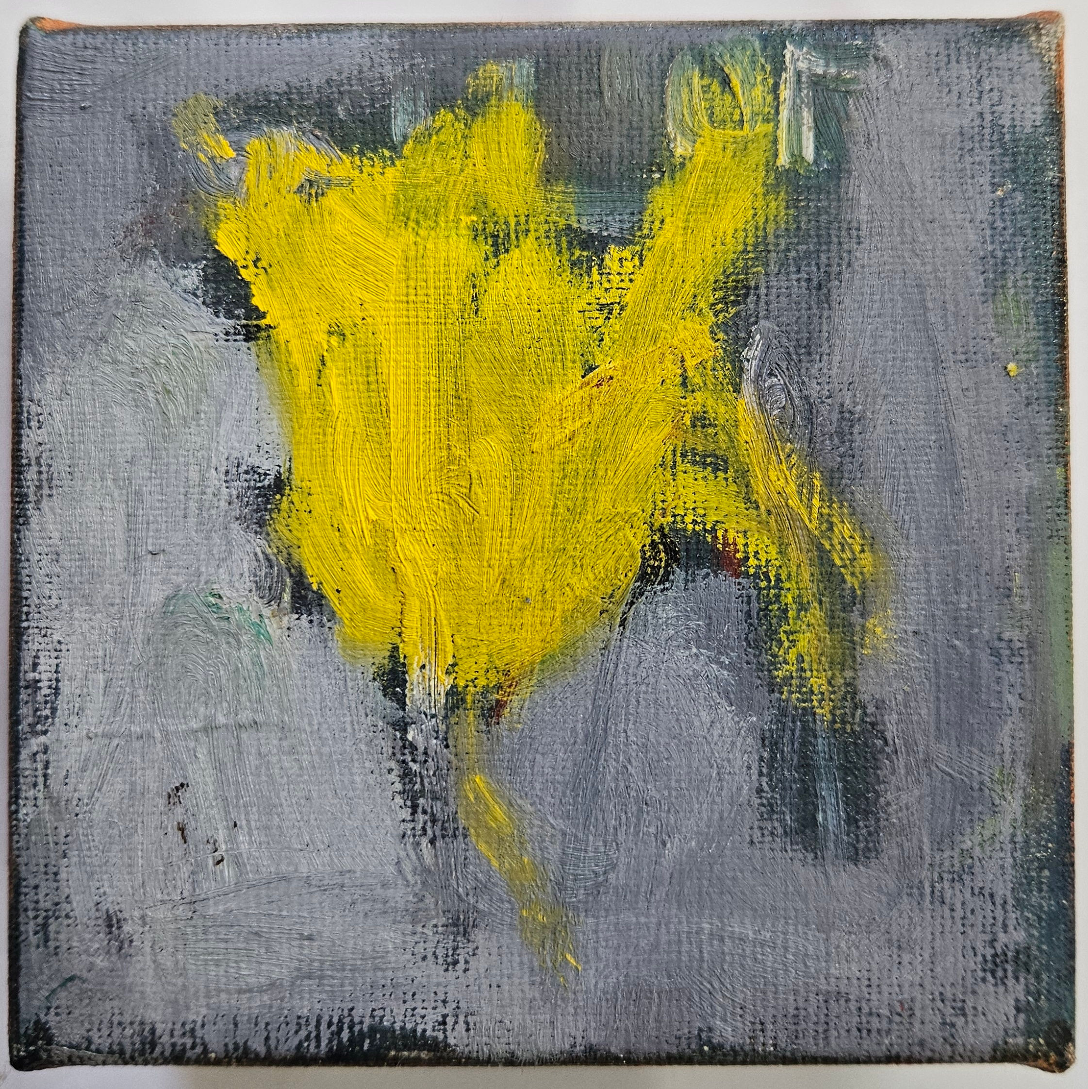 נורית גור לביא קרני | חלמונית
