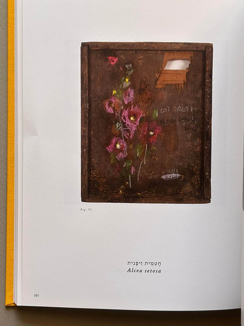 ספר בנושא פרחים או ייבוש פרחים