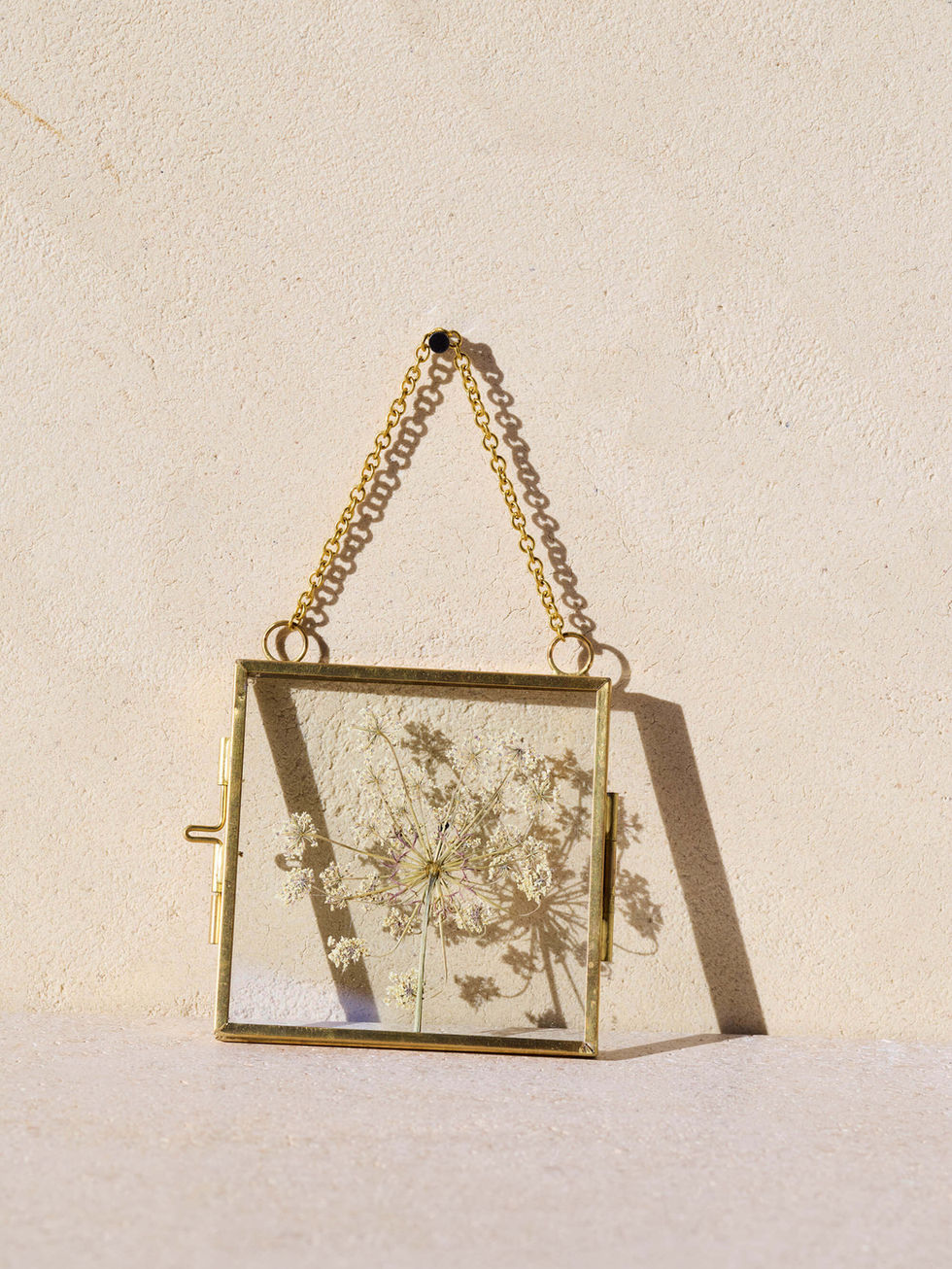 פריט אמנות פרח מיובש בזכוכית