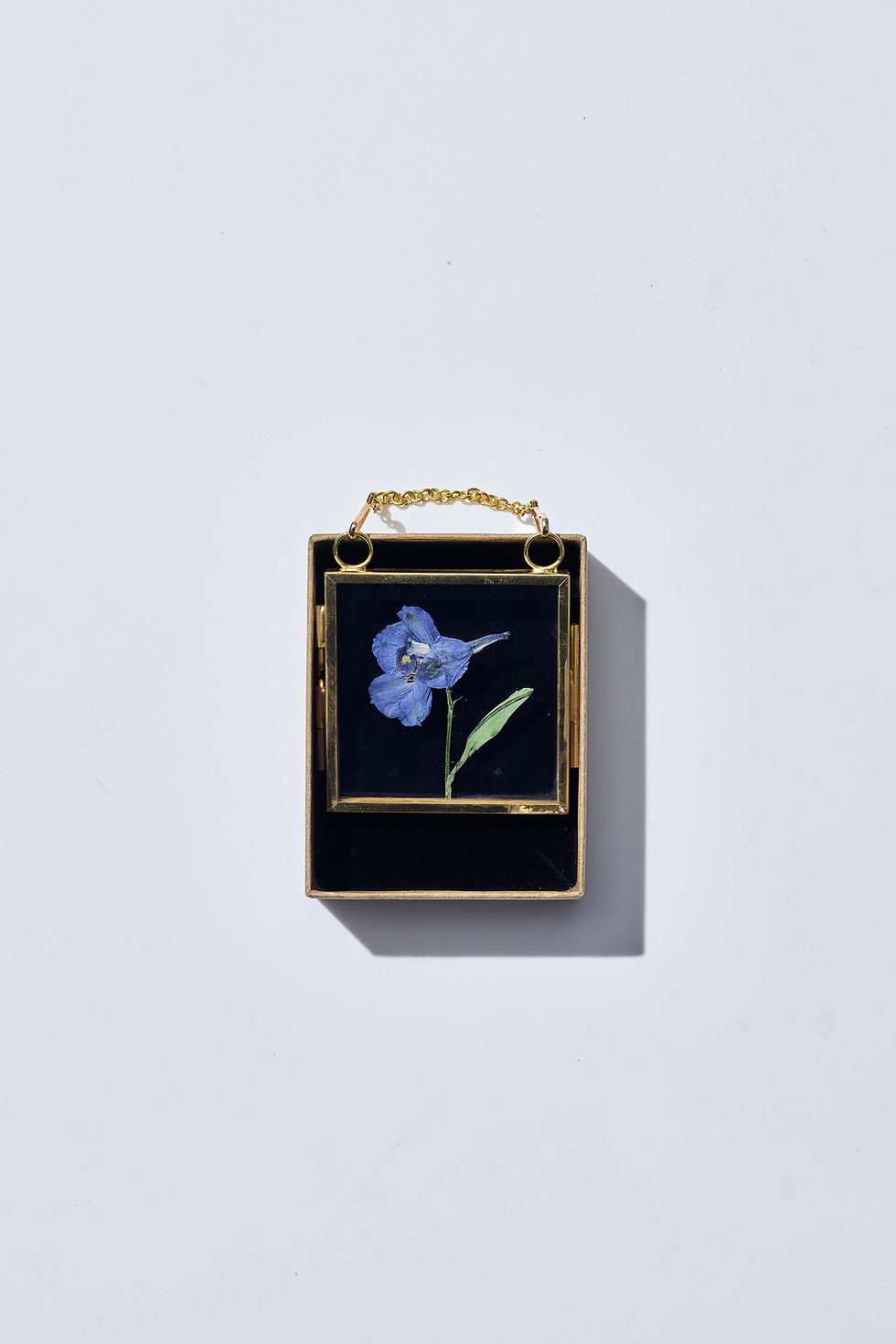 פרחים מיובשים בזכוכית