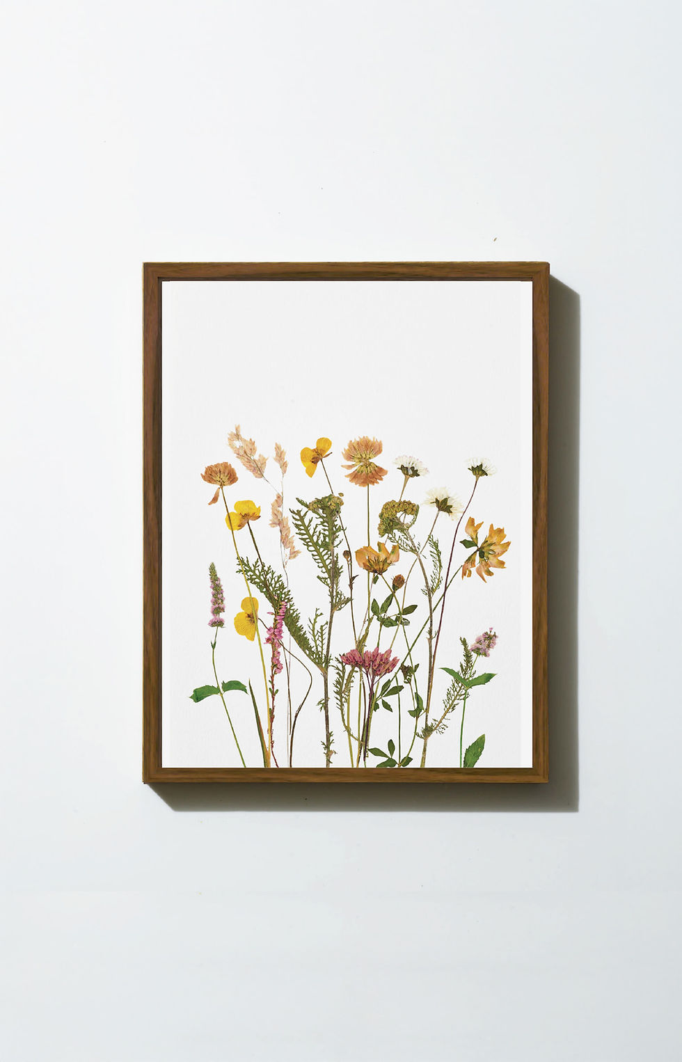 הדפס ממוסגר - פרחים מיובשים בטכניקה מסורתית