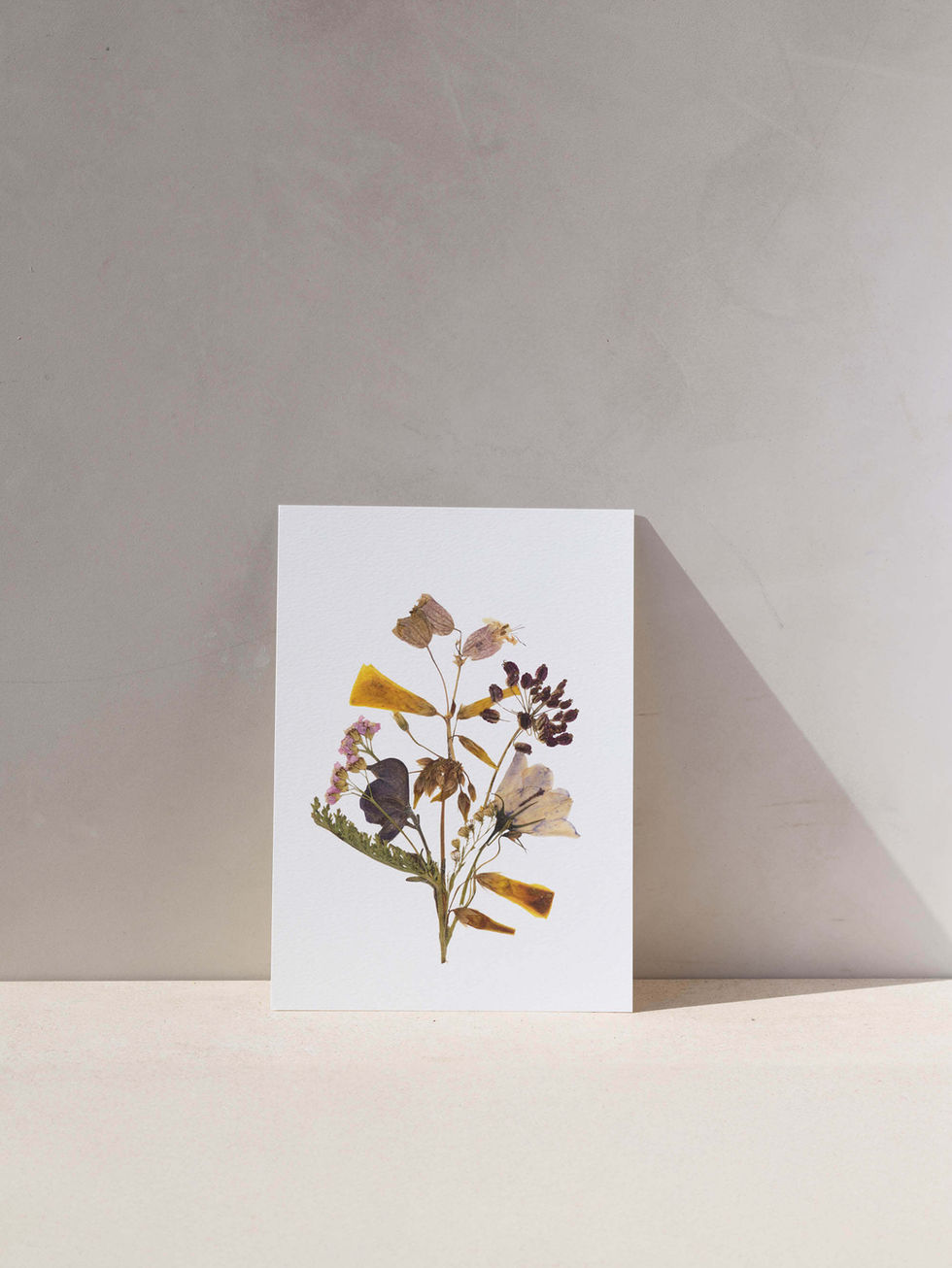 הדפס - פרחים מיובשים בטכניקה מסורתית