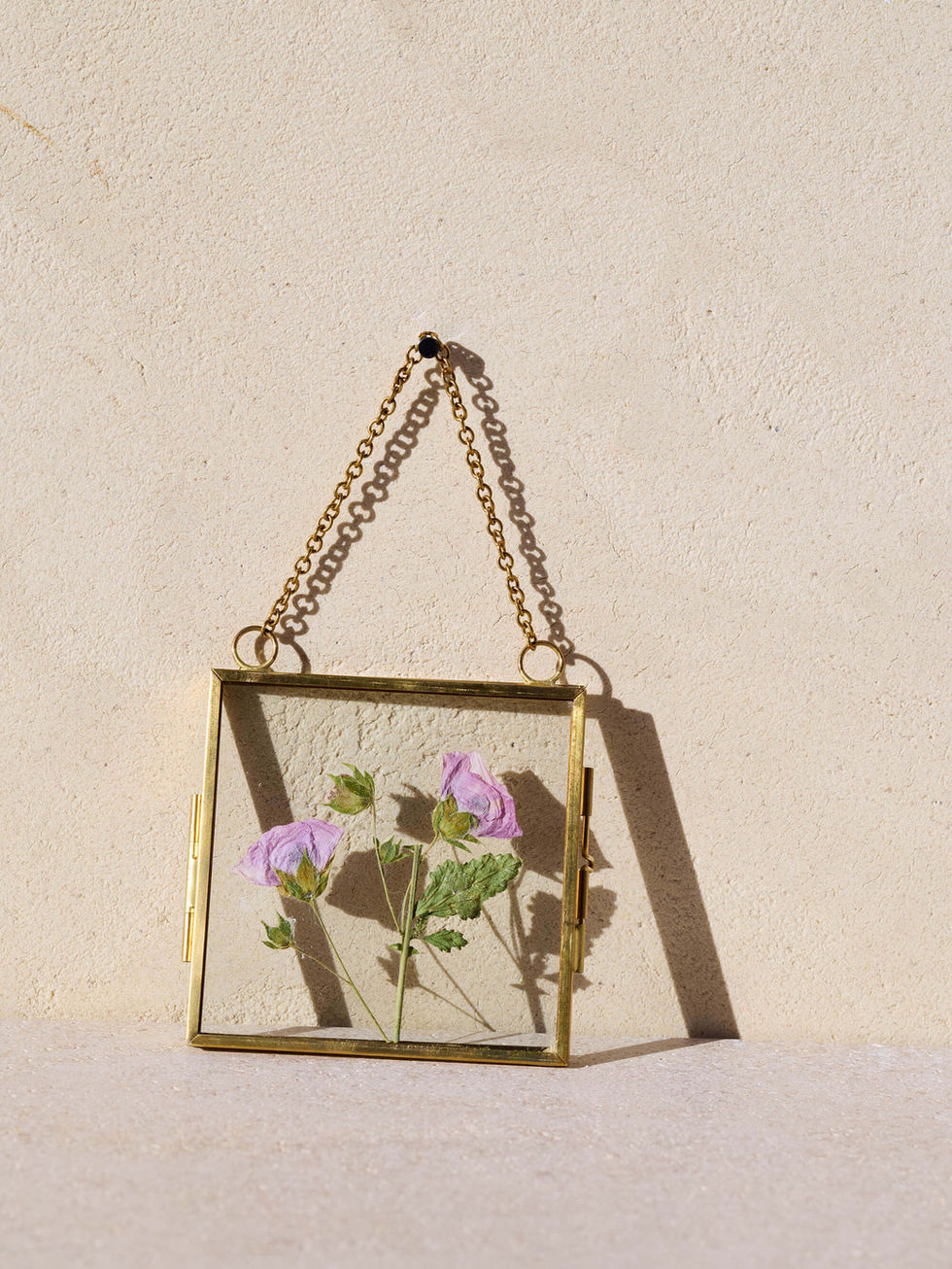 אמנות פרח מיובש בזכוכית