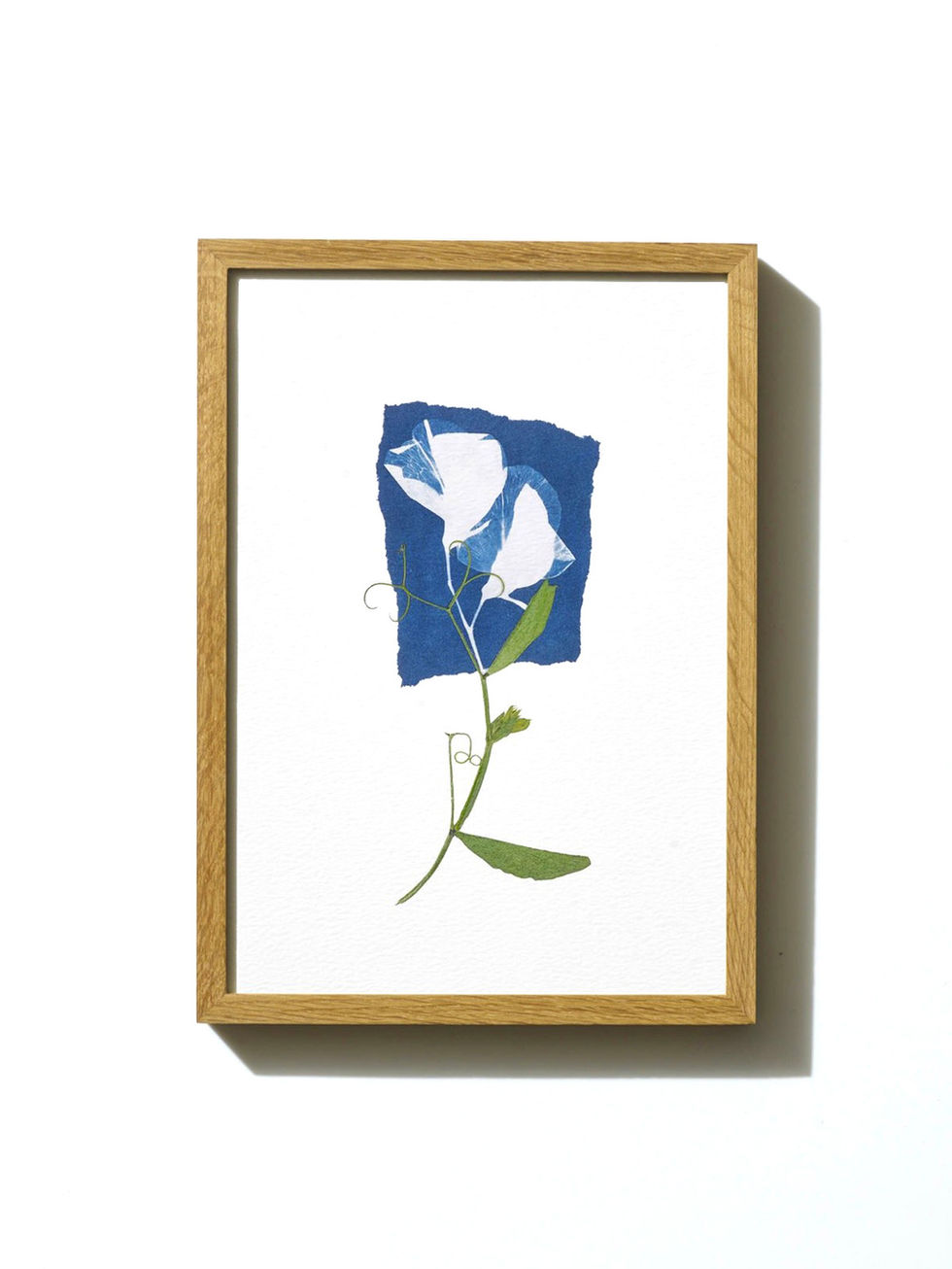 הדפס ממוסגר - פרחים מיובשים בטכניקה מסורתית