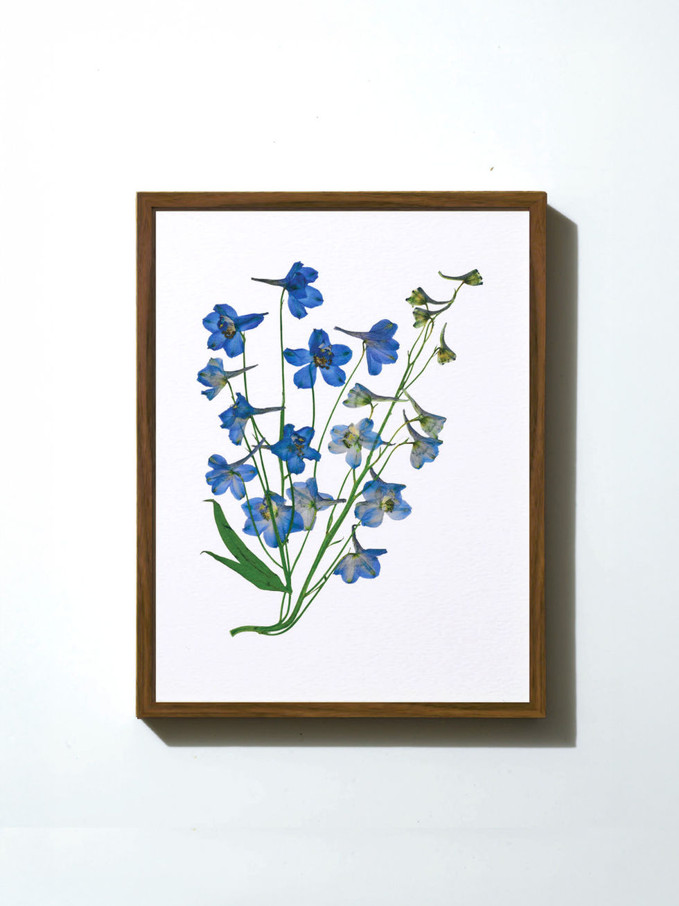 הדפס ממוסגר - פרחים מיובשים בטכניקה מסורתית