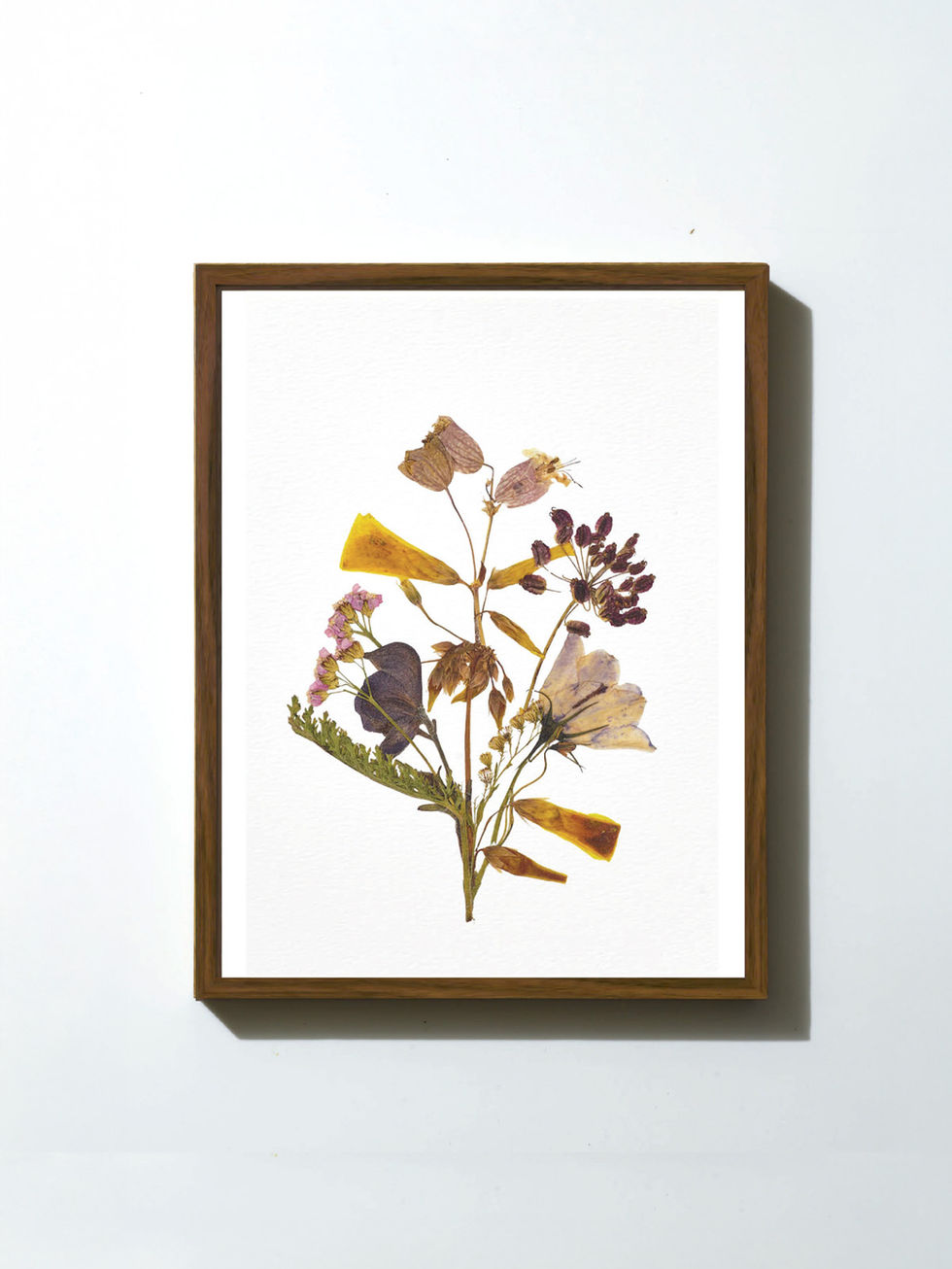 הדפס ממוסגר - פרחים מיובשים בטכניקה מסורתית