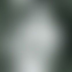 Mazumbai Innovation im Regenwald