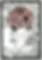 Shush.webp