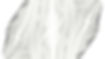 FanZhangThesis8-blank 2_edited.jpg