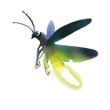 firefly.png