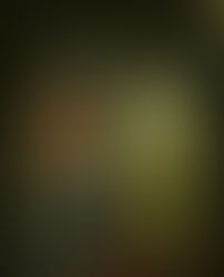 Stray’s Neon City: Pop Culture Secrets, Robot Hearts, and a Cat’s Quiet Journey