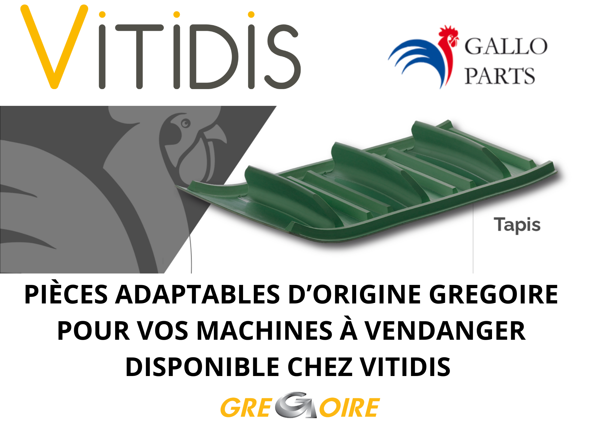 TAPIS ADAPTABLE
