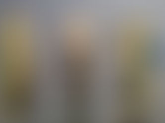 Zoom sur les actions du comité Loire Océan