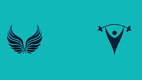 a teal background with a very dark blue set of wings to the left and a silhouette of a gender neutral weight lifter to the right