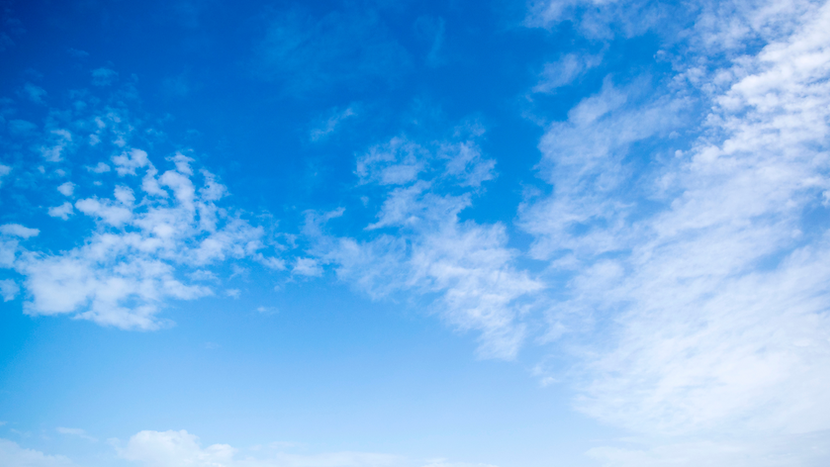 Untitled design (4).png