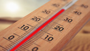 Importance of Temperature Management in Automobiles