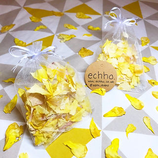 eco gifts
