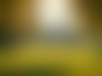 Help Fund John Adams' Commissioner Campaign Today