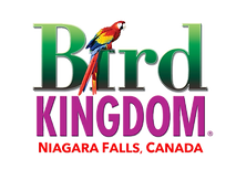Bird Kingdom Logo_edited.png