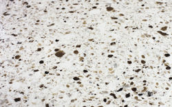 STONE COUNTERTOP