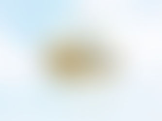 Filho Fiel é Filho Premiado: confira os ganhadores de abril