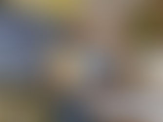 Filho Fiel é Filho Premiado: confira os primeiros sorteados