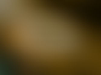 Programação oficial da 211ª Festa Estadual de Nossa Senhora do Rocio