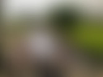 2ª Romaria Filhos da Senhora do Rocio reúne centenas de devotos na casa da Padroeira do Paraná