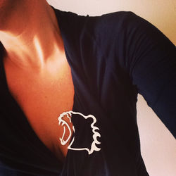Aslan Asil / Lion Asil