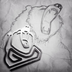 Ayı Roki / Bear Roki