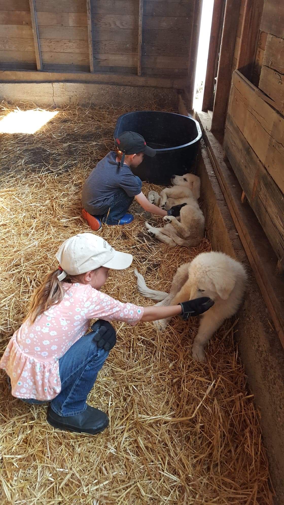 Seek First Ranch|Holistic Management Educators|Beef| USA