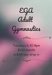 adult gymnastics flyer no schedule_edite