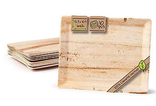 areca platters (2).jpeg