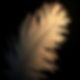 feathers, sparkling, inspiring, resilience.jpg