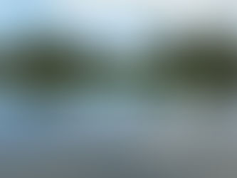 La Laguna de las Madres (Huelva) avanza hacia su renacimiento verde