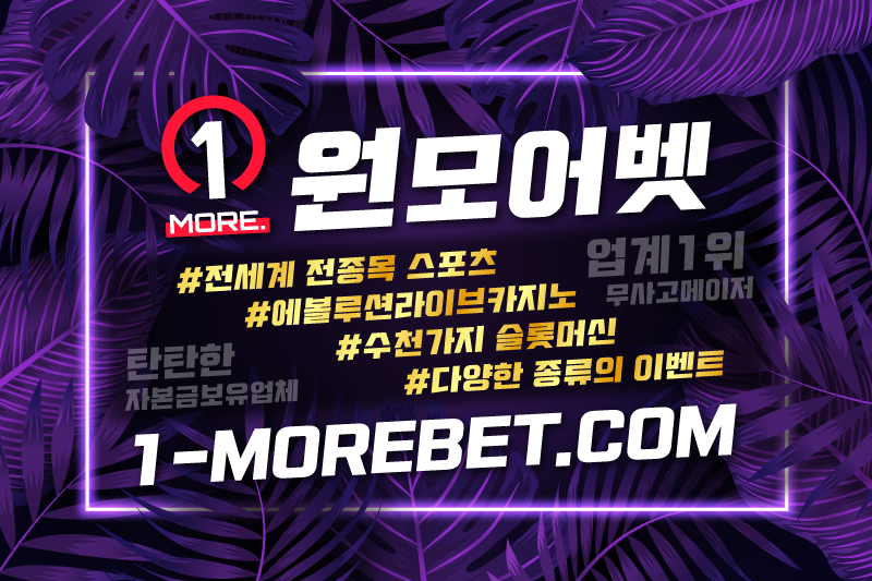 원모어벳-최근전적창