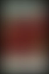 Book Review: Same Time, Next Christmas