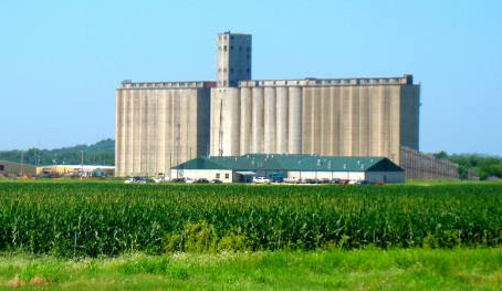 Cathedrals of Grain