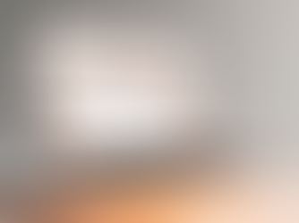 Search Experience Optimization